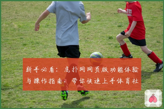新手必看：虎扑网网页版功能体验与操作指南，带你快速上手体育社区